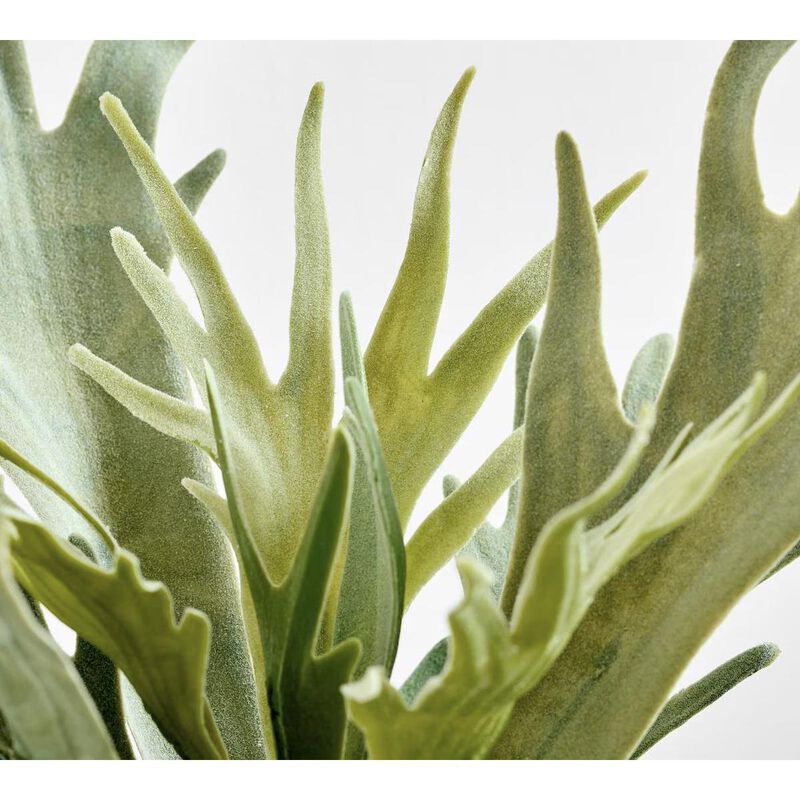 Pottery Barn Faux Potted Staghorn Medium Green image number 1