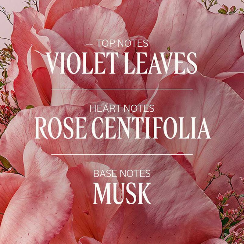 L'Occitane Rose EDT 50ml image number 2