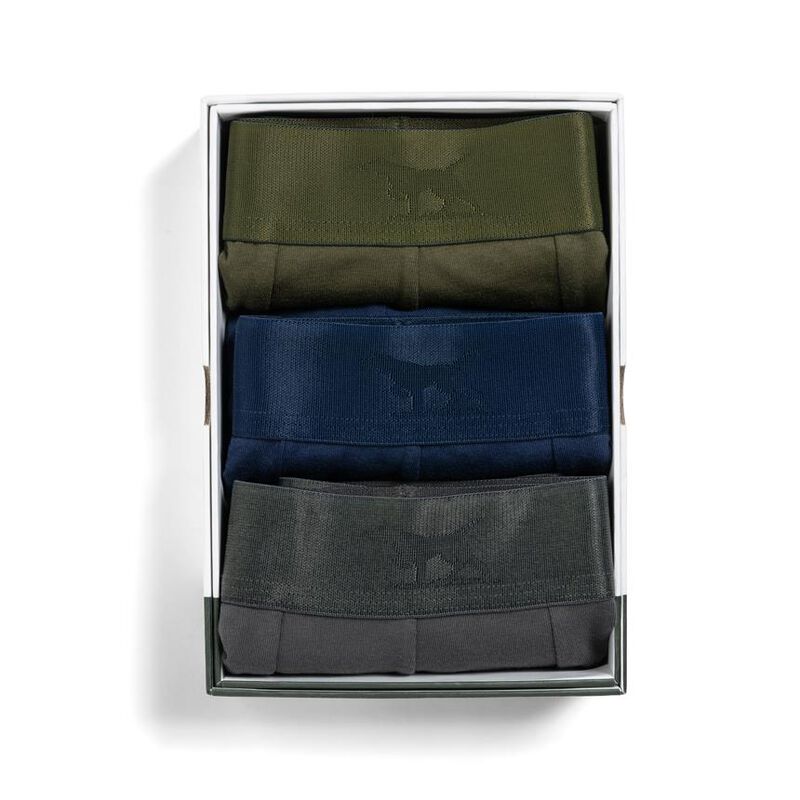 Rodd & Gunn Gunn Shy Brief 3 Pack image number 10