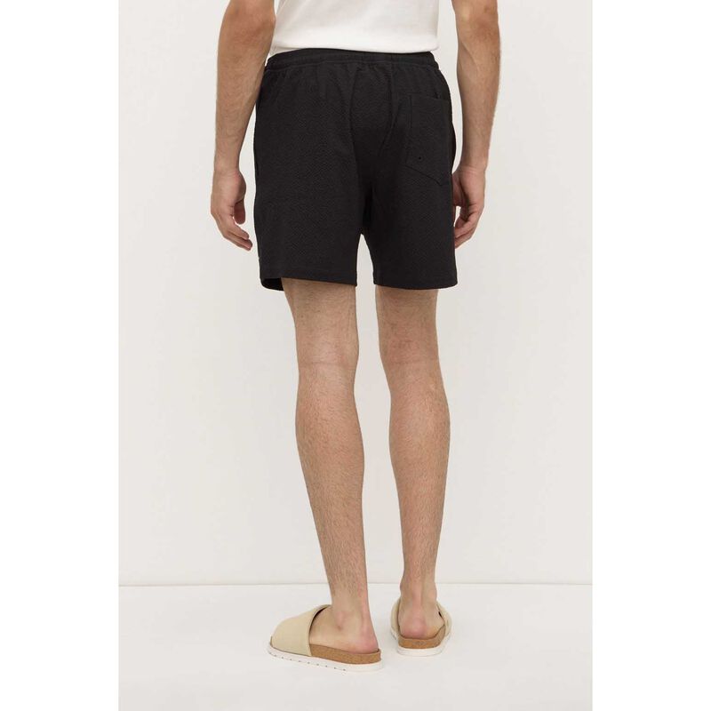Assembly Label Seth Swim Short Black image number 1