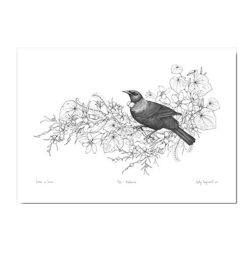Katy Hayward Print - Home Is Here - Tui - A3