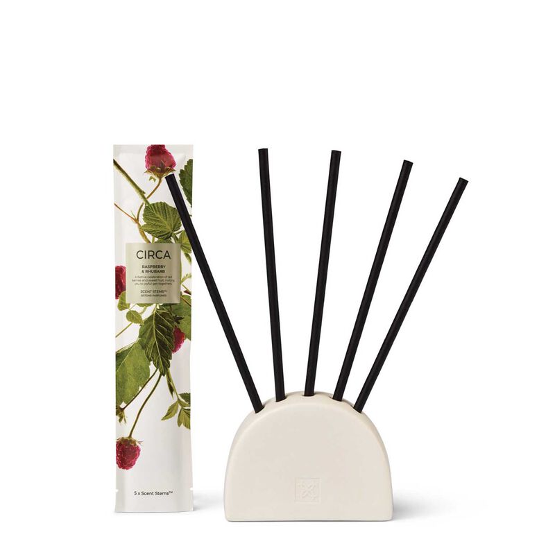 CIRCA 5 Replacement Scent Stems - Raspberry & Rhubarb image number 1