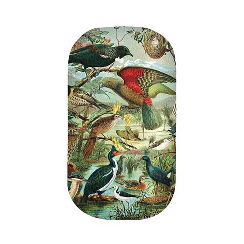 NZ Native Birds Trinket Box