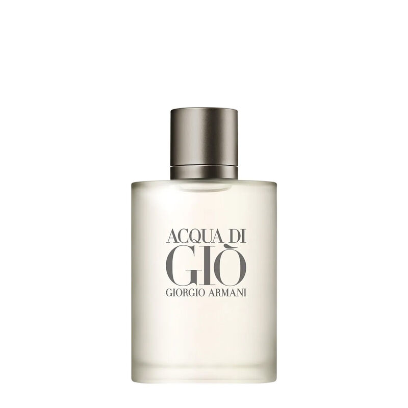 Giorgio Armani Acqua di Giò for Men EDT 100ml image number 0