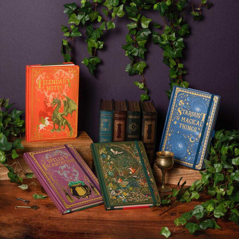 Image Gallery Stardust Storybook Notebook image number 1