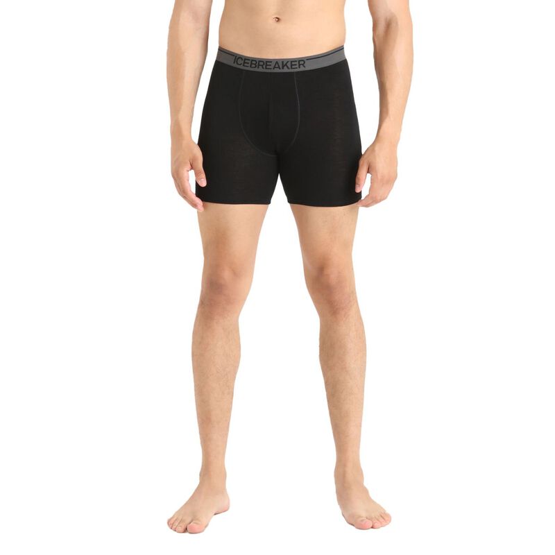 Icebreaker Mens Anatomica Long Boxers image number 0