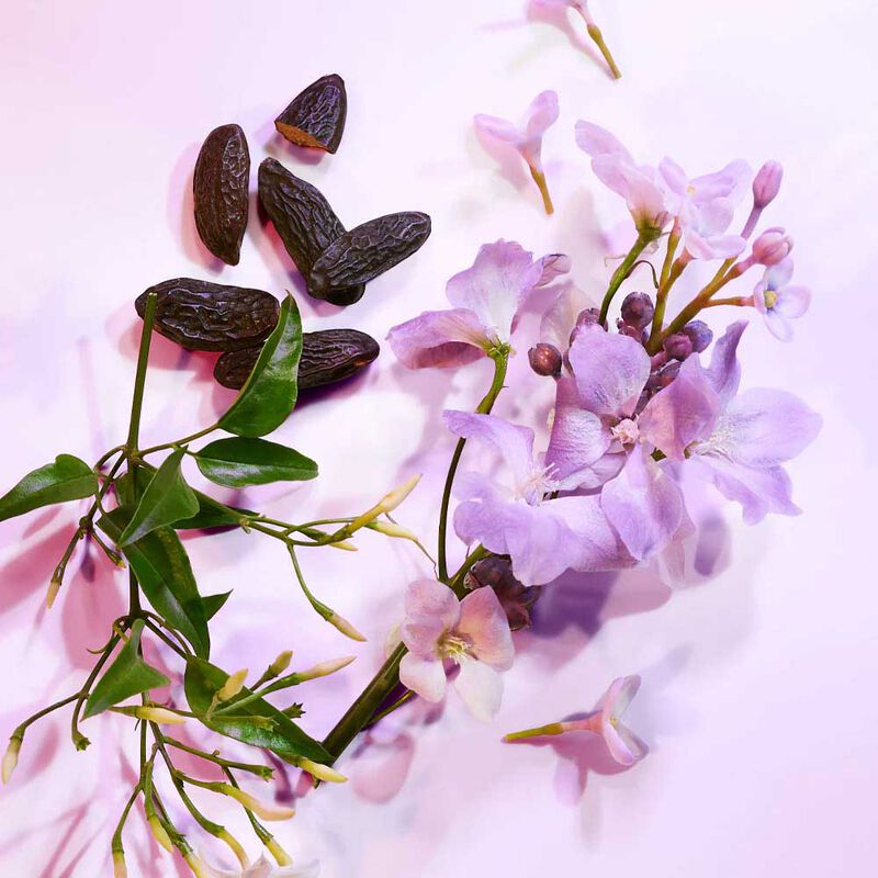 Elizabeth Arden White Tea Eau Lilac EDT 100ml image number 3