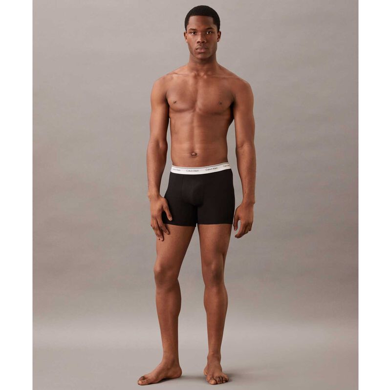 Calvin Klein Boxer Briefs image number 3