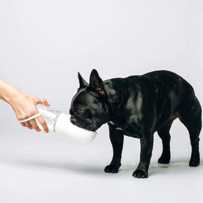 ThirstyDog Water Bottle - White image number 1
