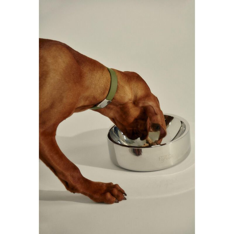 frank green Stainless Steel Pet Bowl - Large image number 1
