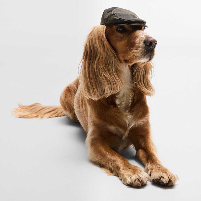 Barbour Dog Wax Flat Cap image number 1