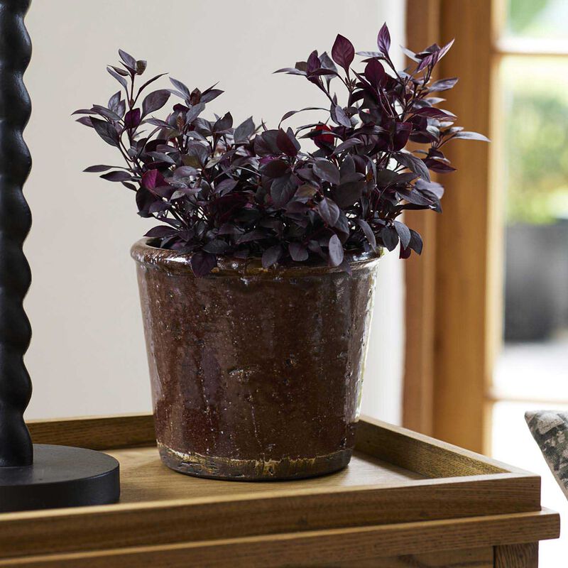 French Country Brown Glazed Terracotta Pot image number 1