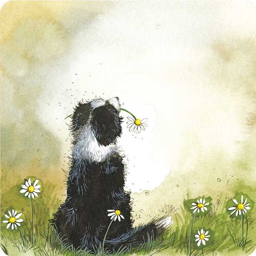 Alex Clark Collie And Flowers Coaster