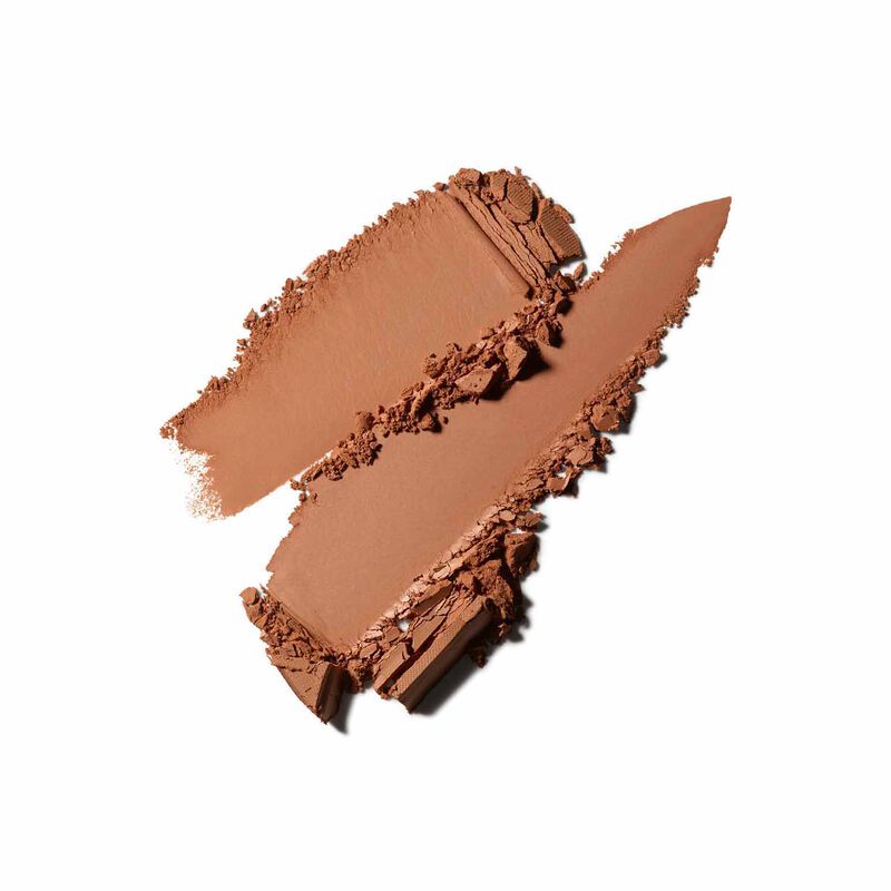 MAC Studio Fix Powder Plus Foundation image number 176
