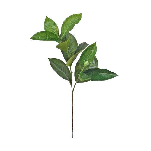 Alison's Acquisitions Gardenia Spray Green
