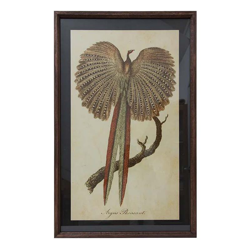 French Country Pheasant Wall Art image number 0