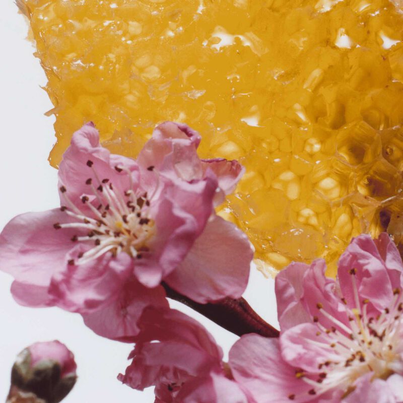Jo Malone London Nectarine Blossom & Honey Body & Hand Lotion 250ml image number 1