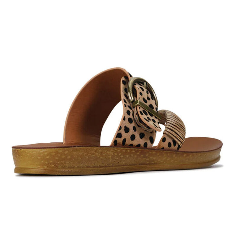 Los Cabos Bria Slide image number 6