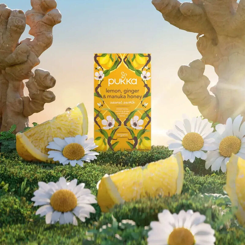 Pukka Lemon, Ginger & Manuka Honey Tea image number 1