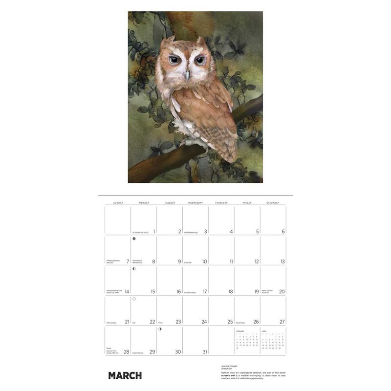 Pomegranate Owls Wall Calendar 2027 image number 1