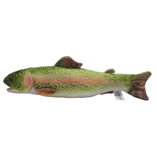 Antics Rainbow Trout