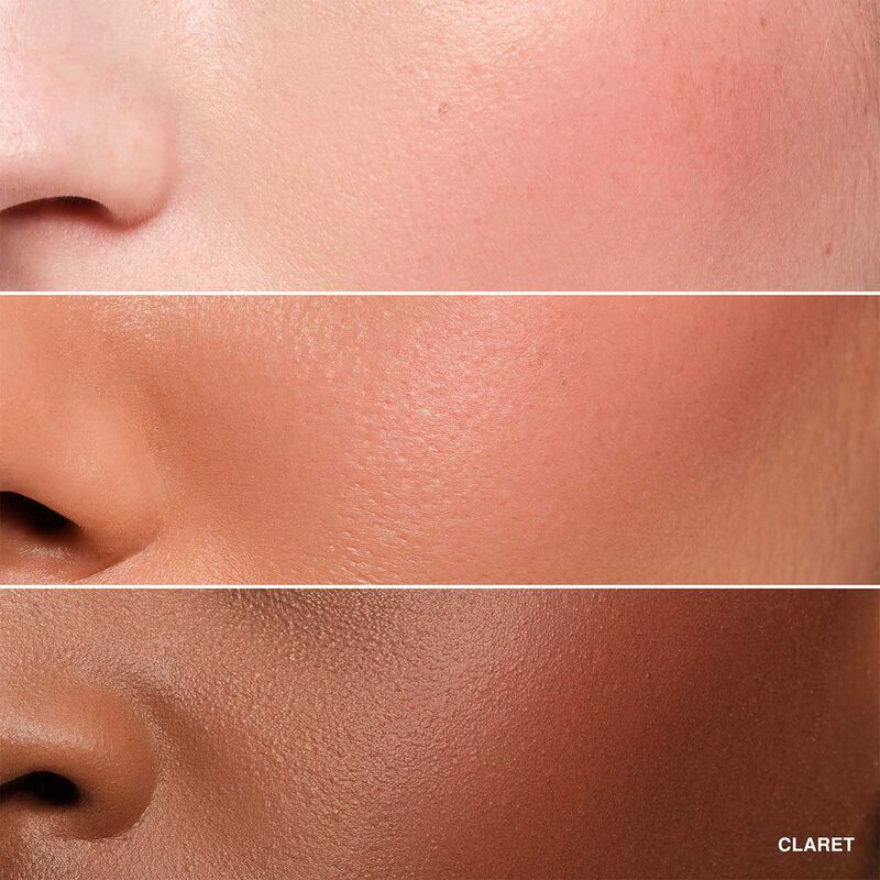Bobbi Brown Pot Rogue Velvet Matte image number 14
