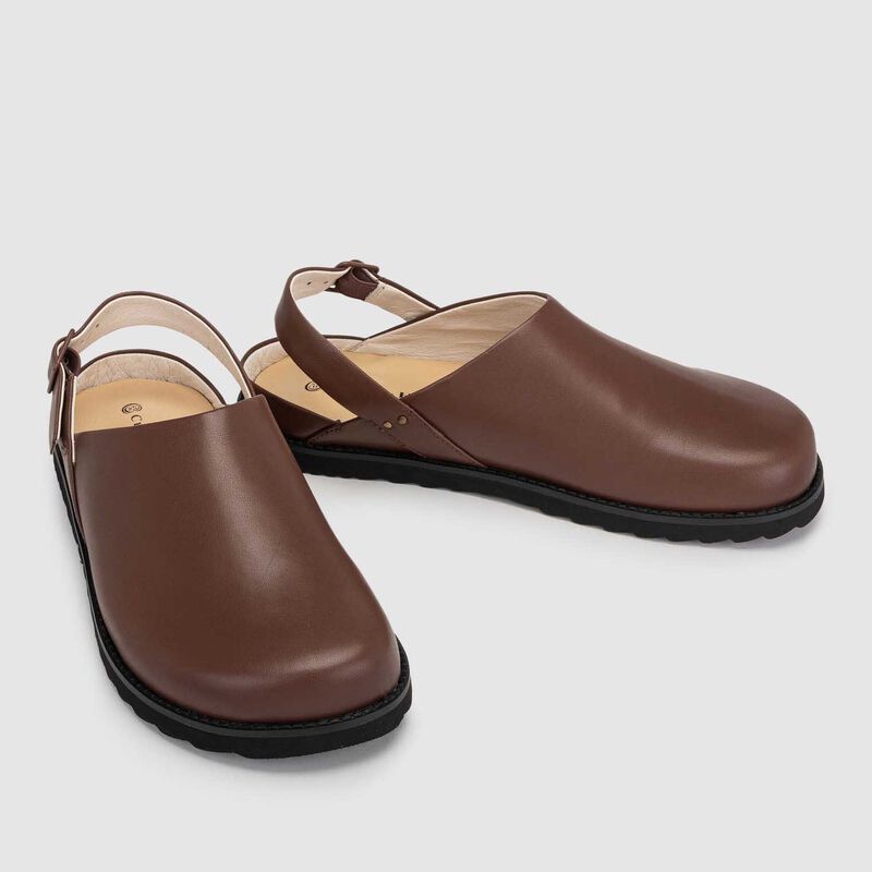 Chaos & Harmony Orbit Mule image number 1