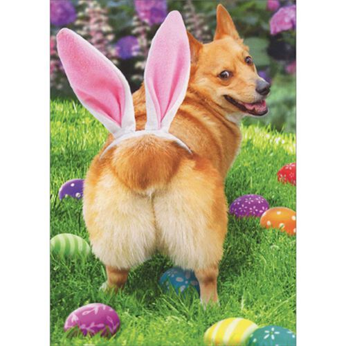 Image Gallery Easter Bunny Butt Card
