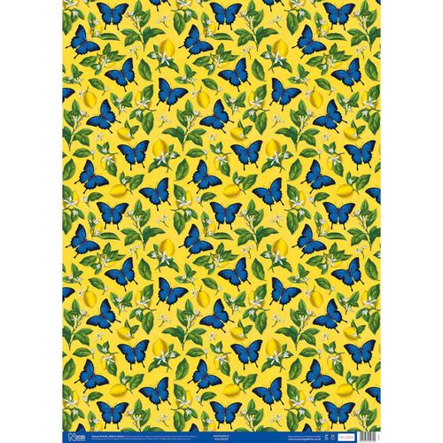 Museums & Galleries Ulysses Butterflies Wrap