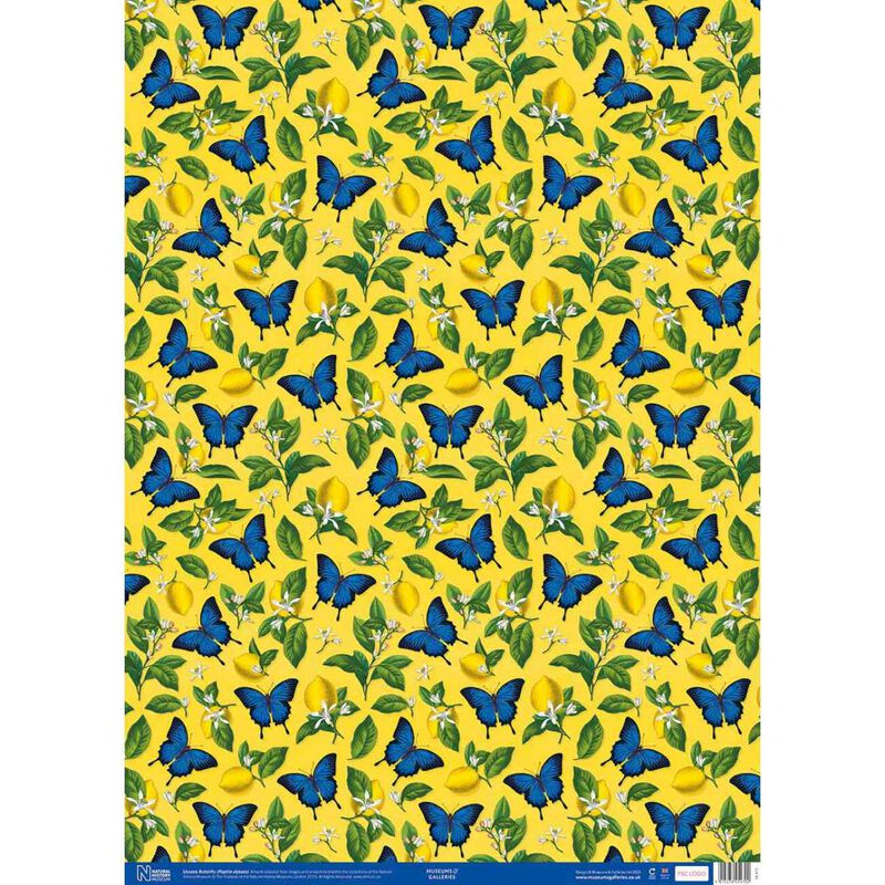 Museums & Galleries Ulysses Butterflies Wrap image number 0