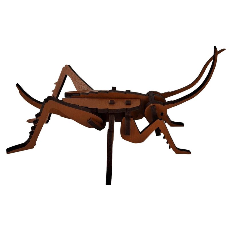 Abstract Designs Weta A5 - Brown image number 1