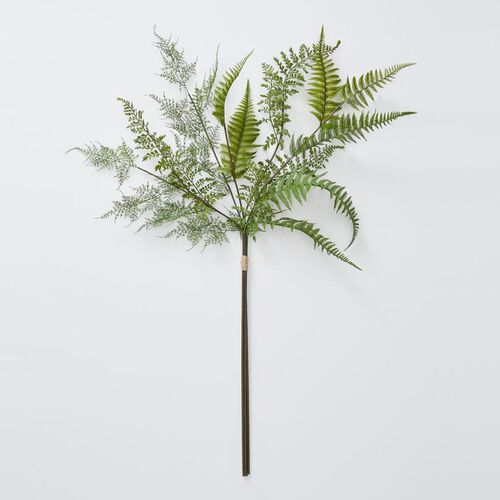 Pottery Barn Fern Bundle