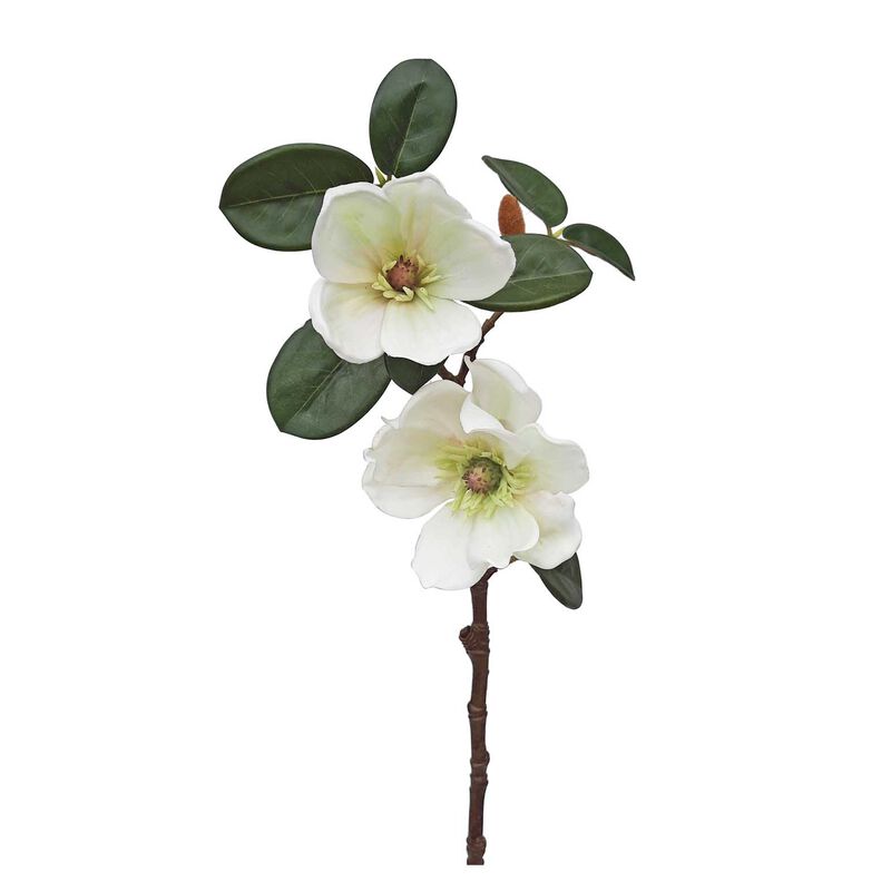 Magnolia Spray 2 Flowers image number 0