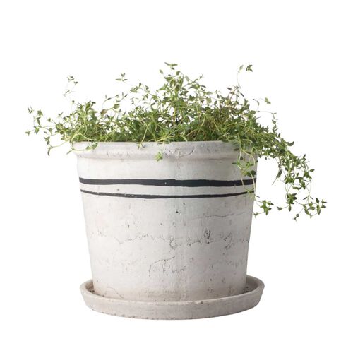 French Country Lisbon Herb Pot Large