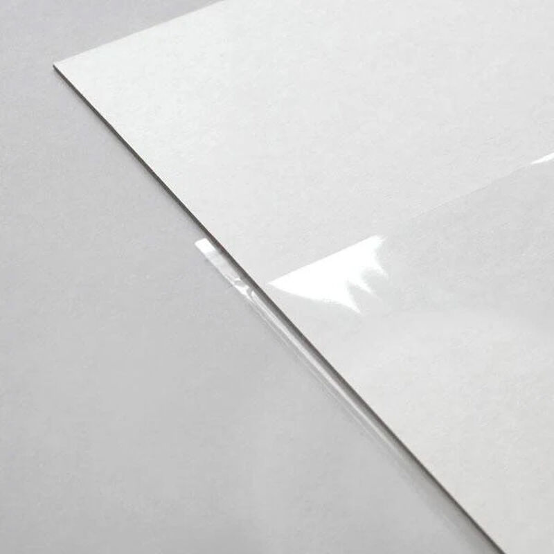 Hansby Design Fantail Pair A4 Print image number 2