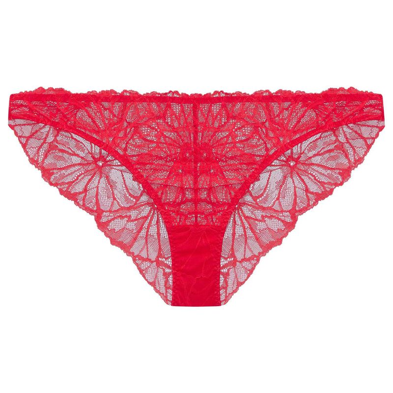 Dora Larsen Bea Graphic Lace Knicker image number 3