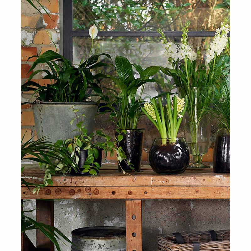 French Country Dappled Clear Conical Vase image number 2