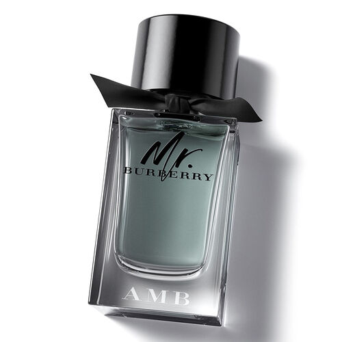 Burberry Mr Burberry Eau de Toilette 100ml