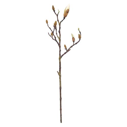 Alison's Acquisitions Magnolia Bud Branch White