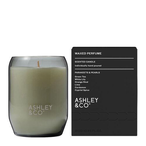 Ashley & Co Waxed Perfume - Parakeets & Pearls