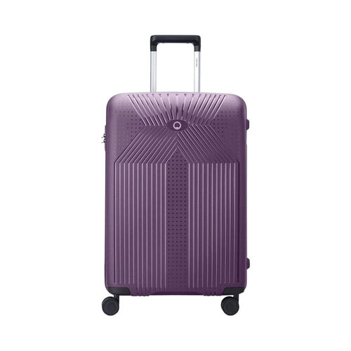 Delsey Ordener 66cm Travel Case