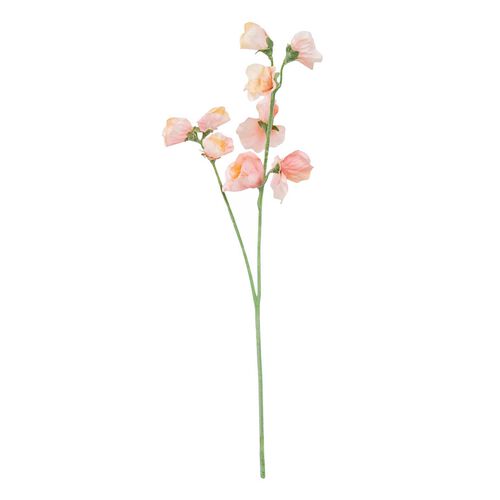 Alison's Acquisitions Sweetpea Spray x 2 - Peach