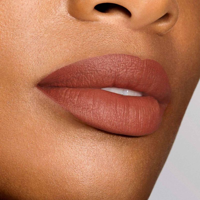 Estée Lauder Pure Color Explicit Silk Matte Lipstick image number 17