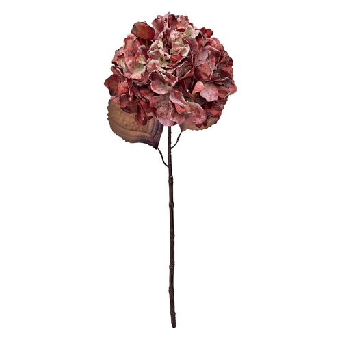 Alison's Acquisitions Fall Hydrangea Rust