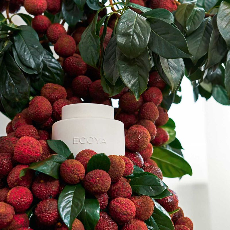 ECOYA Soy Wax Melts Guava & Lychee Sorbet image number 1