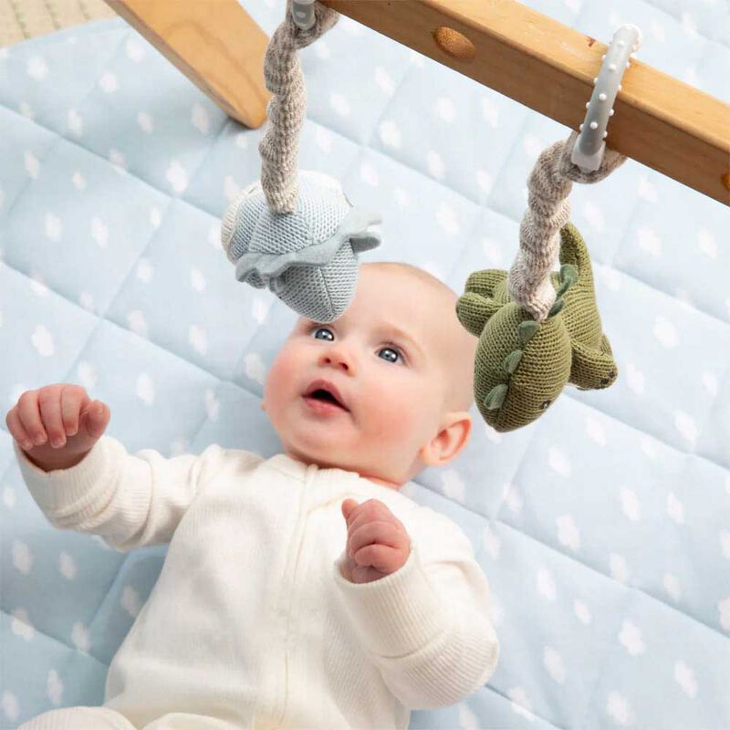 Living Textiles Stroller Toys 2 Pack - Dinosuars image number 2