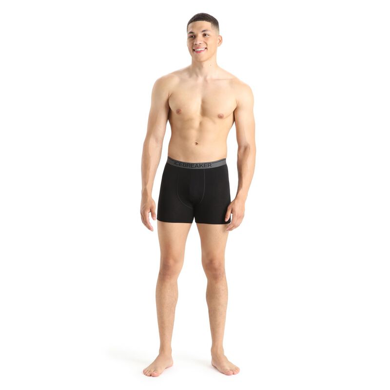 Icebreaker Mens Anatomica Boxers image number 3