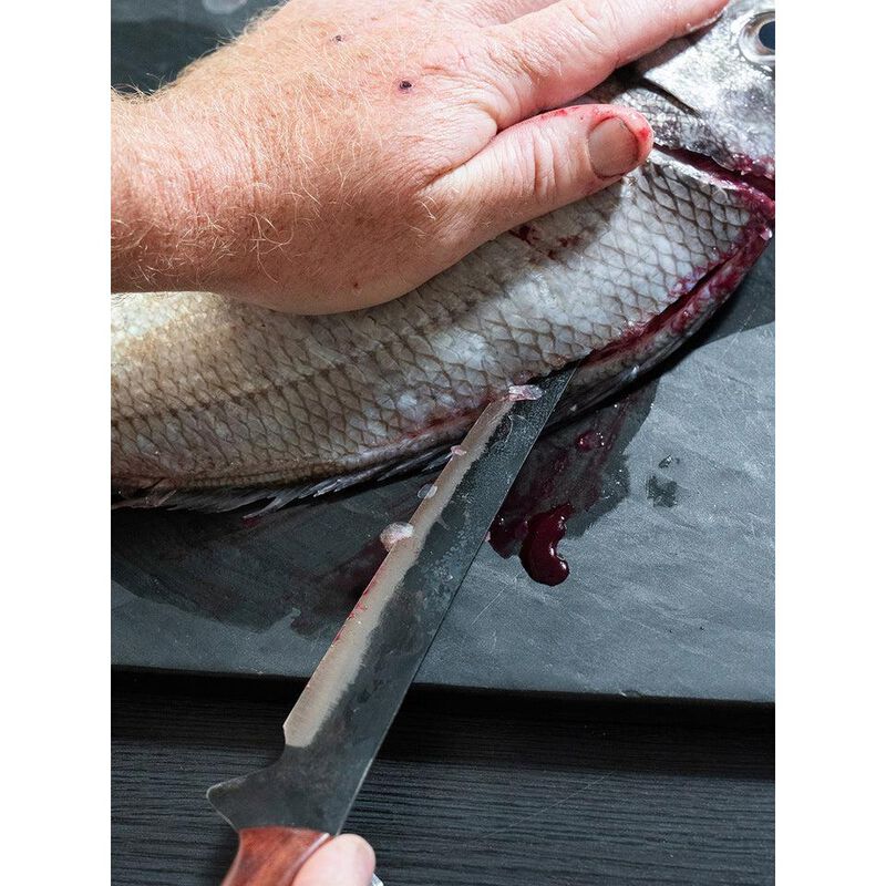 Cain & Abel Poseidon Fish Filleting Knife image number 2