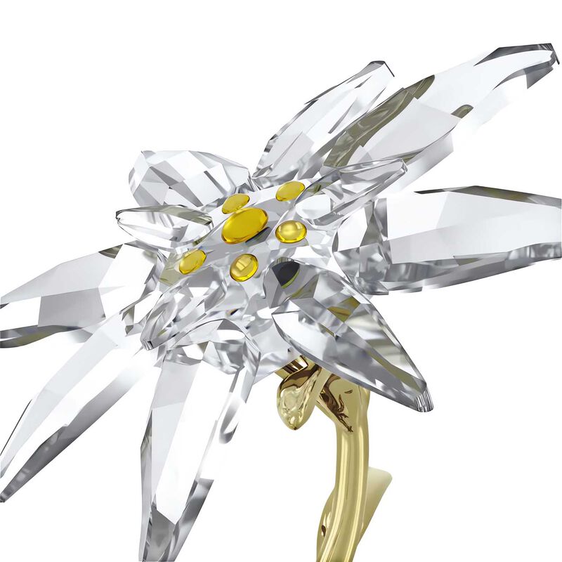 Swarovski Florere 130th Anniversary Bell Jar image number 2