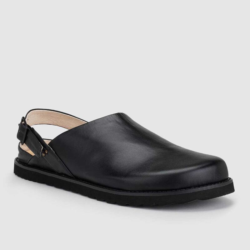 Chaos & Harmony Orbit Mule image number 2